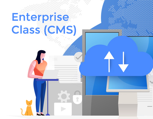CMS de clase empresarial destacado